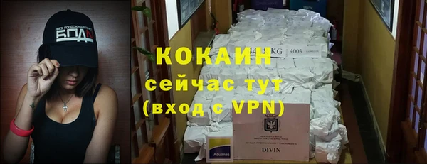 прущая мука Арсеньев