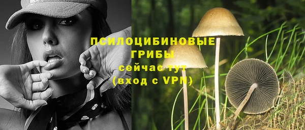 прущая мука Арсеньев